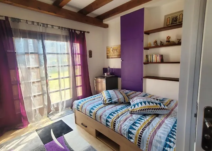 Maison Le Lezard Chez Amalia Et Fred