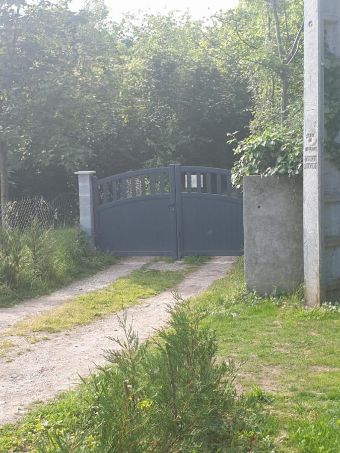 Maison Le Lezard Chez Amalia Et Fred Homestay Thonon-les-Bains