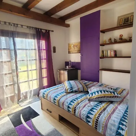 Chez Amalia et Fred Appartement Thonon-les-Bains Buitenkant foto