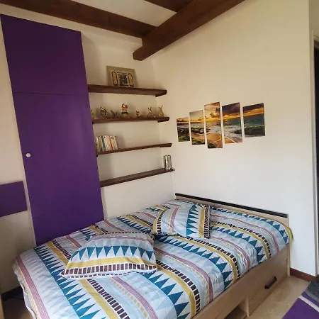 Chez Amalia et Fred Appartement Thonon-les-Bains Buitenkant foto