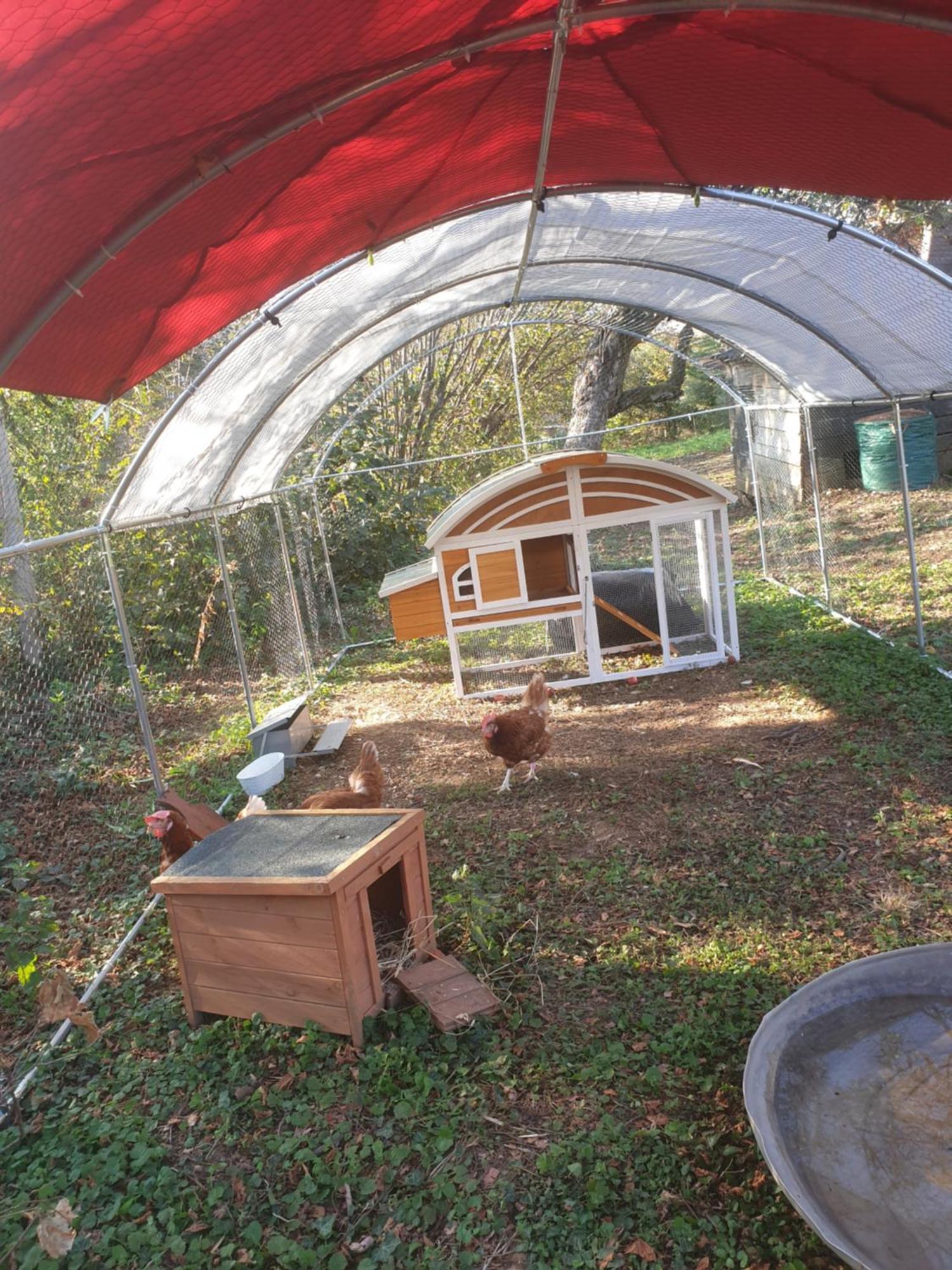 Maison Le Lezard Chez Amalia Et Fred *